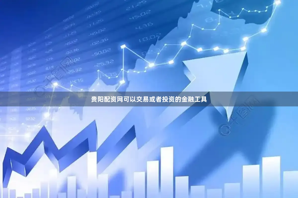 贵阳配资网可以交易或者投资的金融工具