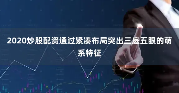 2020炒股配资通过紧凑布局突出三庭五眼的萌系特征